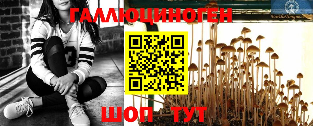 как найти закладки  Вход с VPN  Избербаш  Галлюциногенные грибы MAGIC MUSHROOMS 
